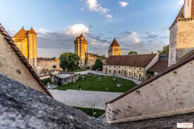 Chateau de Blandy les Tours