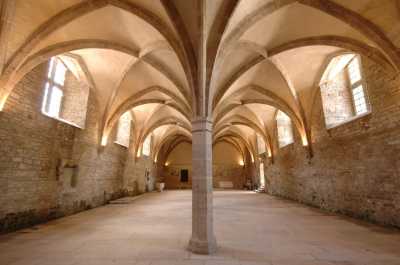Abbaye de Cluny