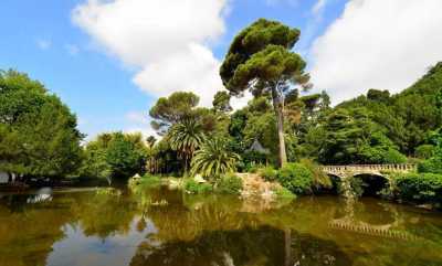 Parc du Chateau de Valrose