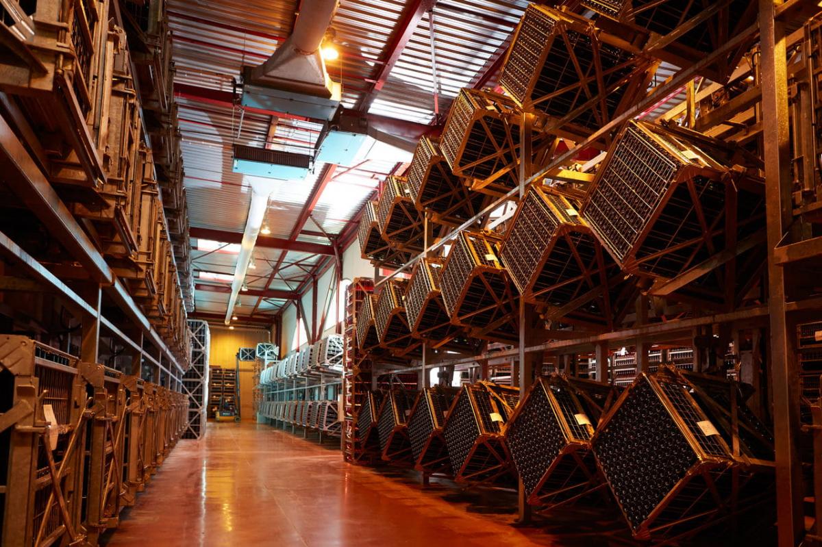 Cave de la Maison Veuve Ambal