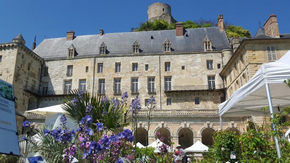 Chateau de la Roche Guyon