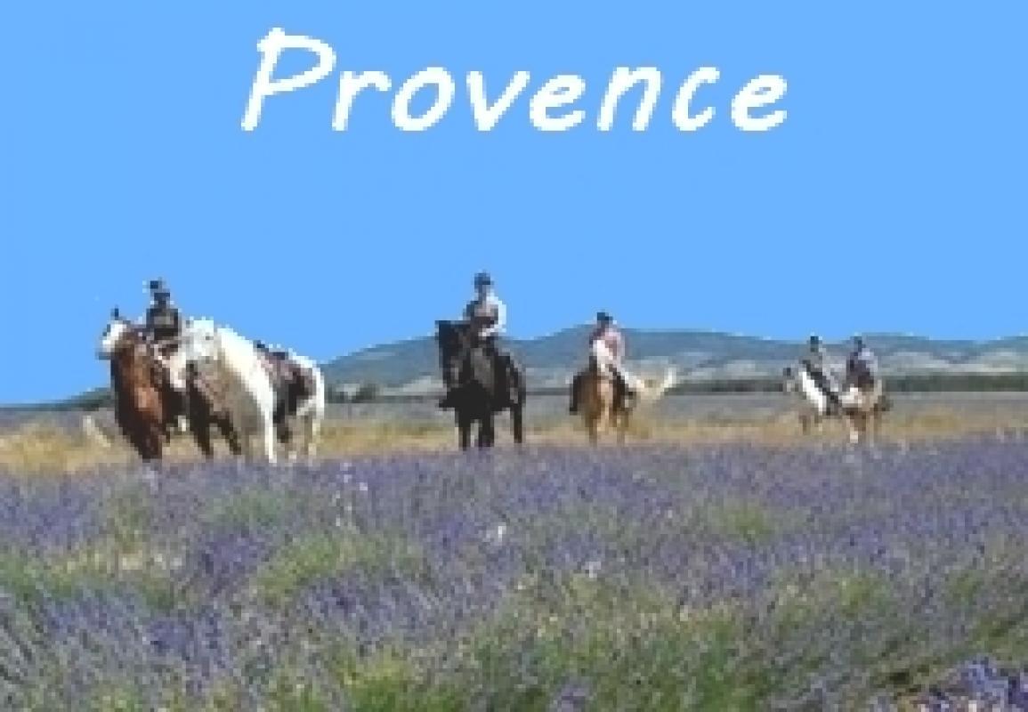 A CHEVAL EN PROVENCE |  CHATEAUX IN FRANCE