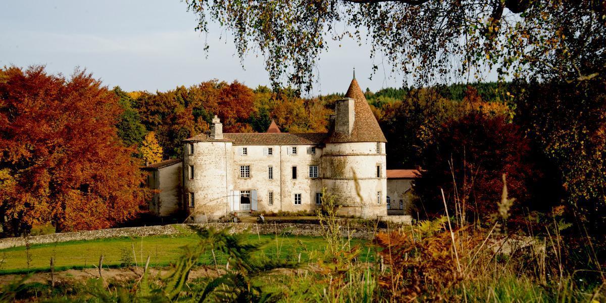 CHATEAU DES MARTINANCHES |  CHATEAUX IN FRANCE