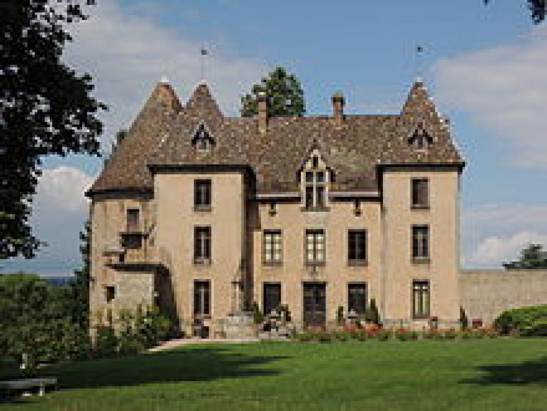 CHATEAU DE COUCHES |  CHATEAUX IN FRANCE