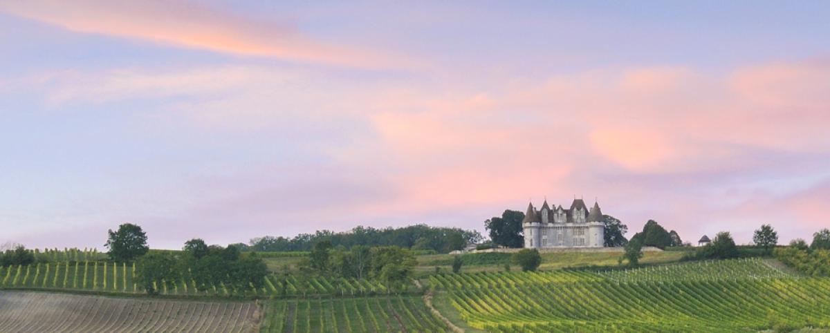CHATEAU DE MONTBAZILLAC |  CHATEAUX IN FRANCE