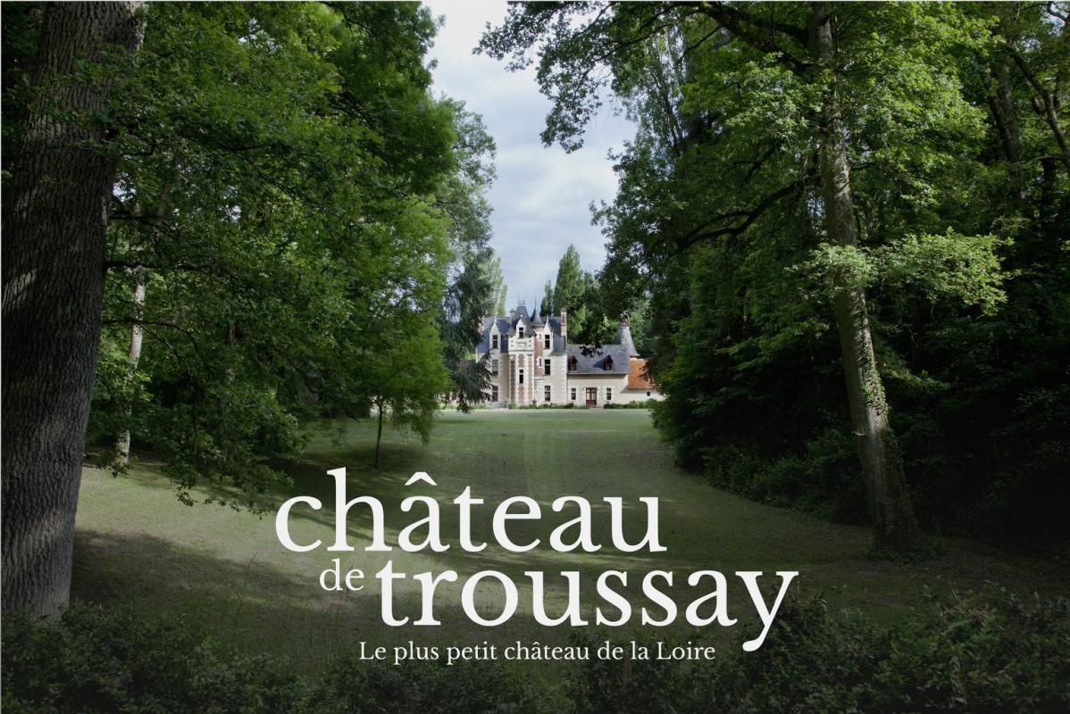 CHATEAU DE TROUSSAY |  CHATEAUX EN FRANCE