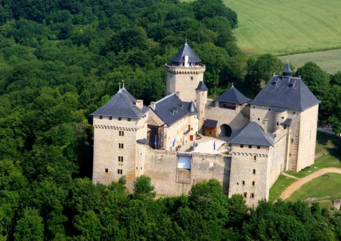 CHATEAU MALBROUCK |  CHATEAUX IN FRANCE