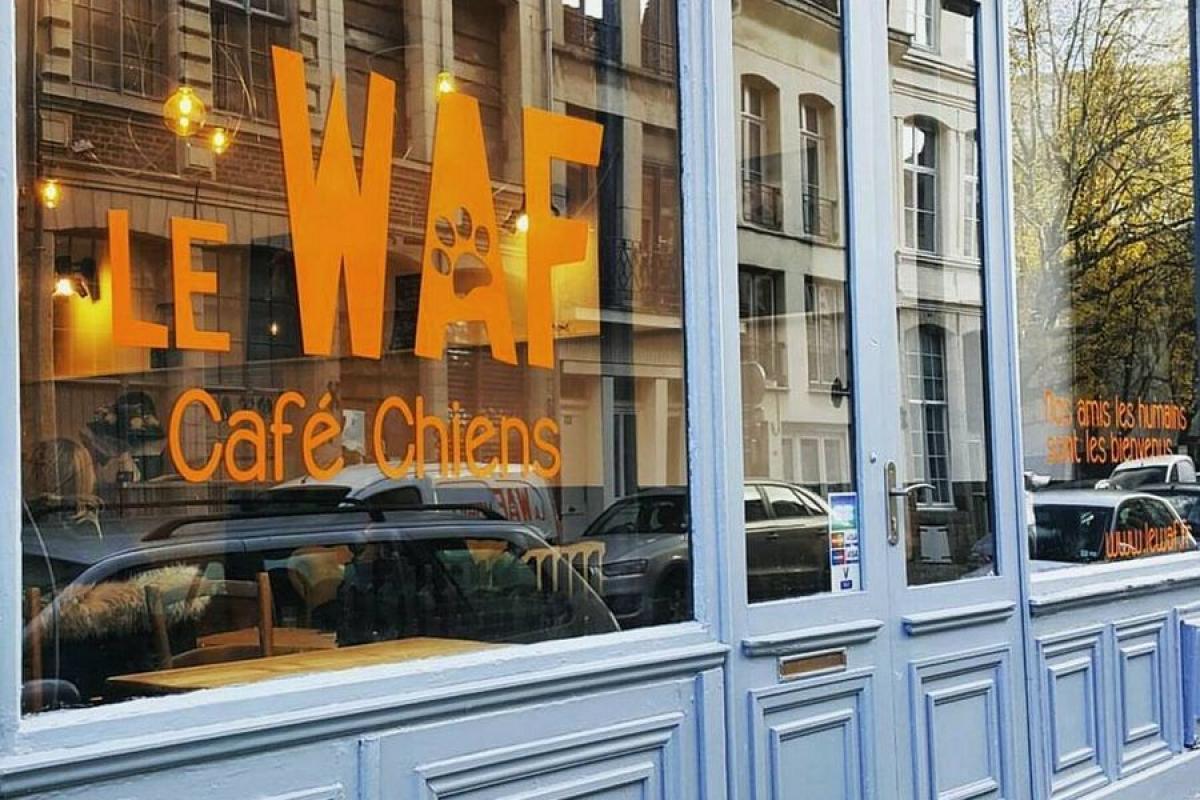 LE 1ER CAFE CHIENS D'EUROPE - LE WAF |  